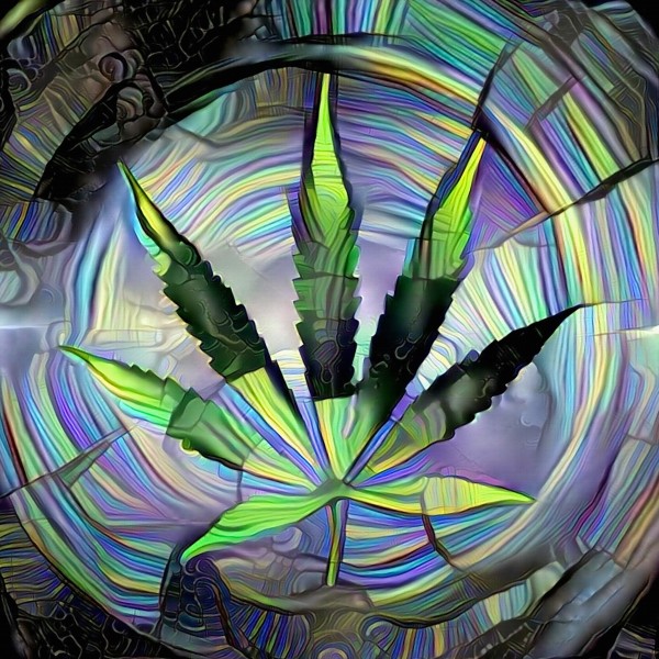 Marijuana Leaf by Bruce Rolff